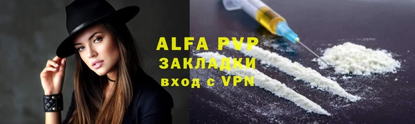 индика Нягань