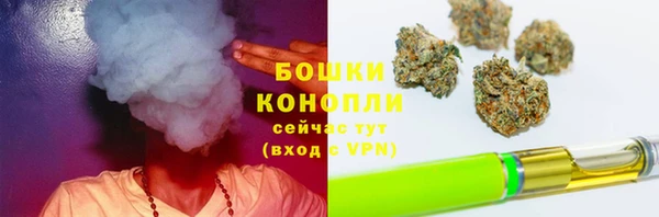 стафф Нея