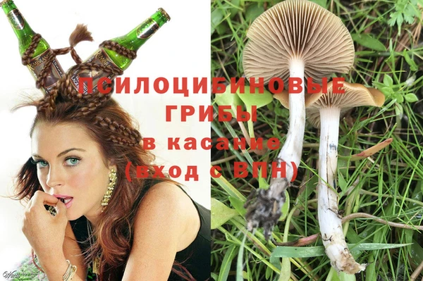 стафф Нея