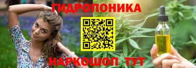 прущие крисы Аргун