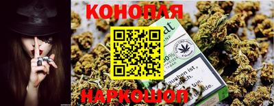 амф Бийск