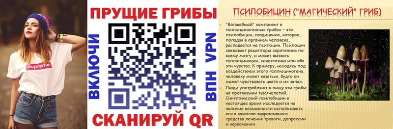 KRAKEN ссылки Ковров Псилоцибиновые грибы прущие грибы