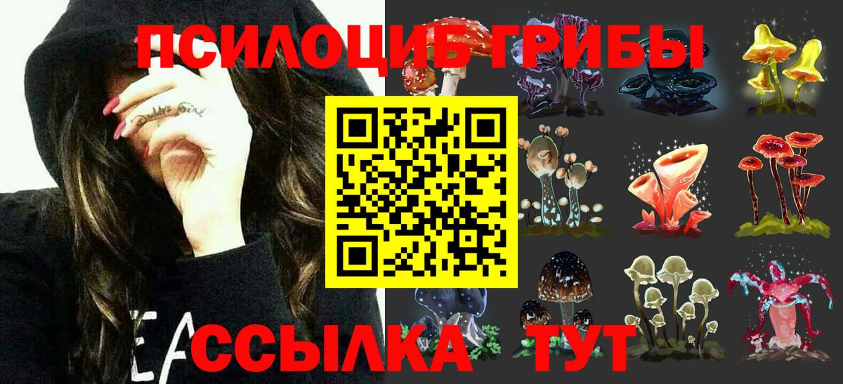 Галлюциногенные грибы MAGIC MUSHROOMS Ковров