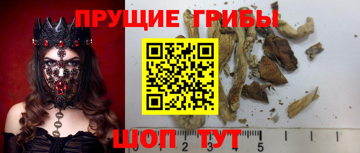 Бошки Шишки  Гашиш  Кокаин  Ковров  Вход с VPN  ТГК  Мефедрон   Экстази 