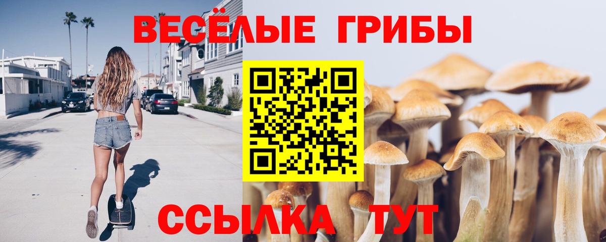 Псилоцибиновые грибы мицелий  Галлюциногенные грибы прущие грибы  Вход с VPN  Ковров 