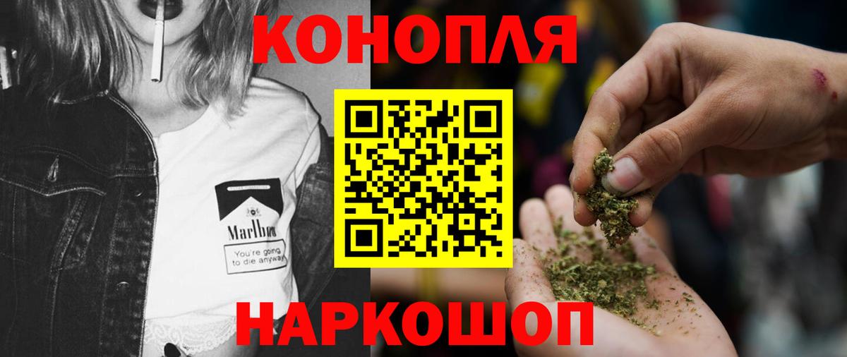 Бошки Шишки конопля  Шишки марихуана сатива  Бошки Шишки THC 21%  Ковров 