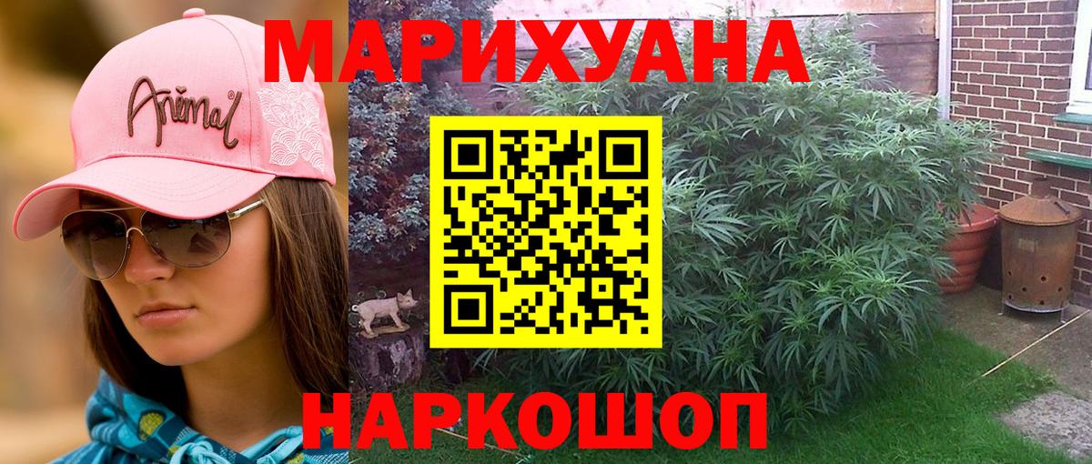 Шишки марихуана Amnesia Ковров